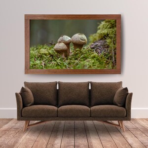 以下が含まれることがあります： 森の中のキノコのクローズアップ写真がフレームに入っています。キノコは茶色とベージュで、緑色の苔と葉を背景にしています。フレームは暖かく自然な木の色合いです。自然をテーマにしたアートワークです。