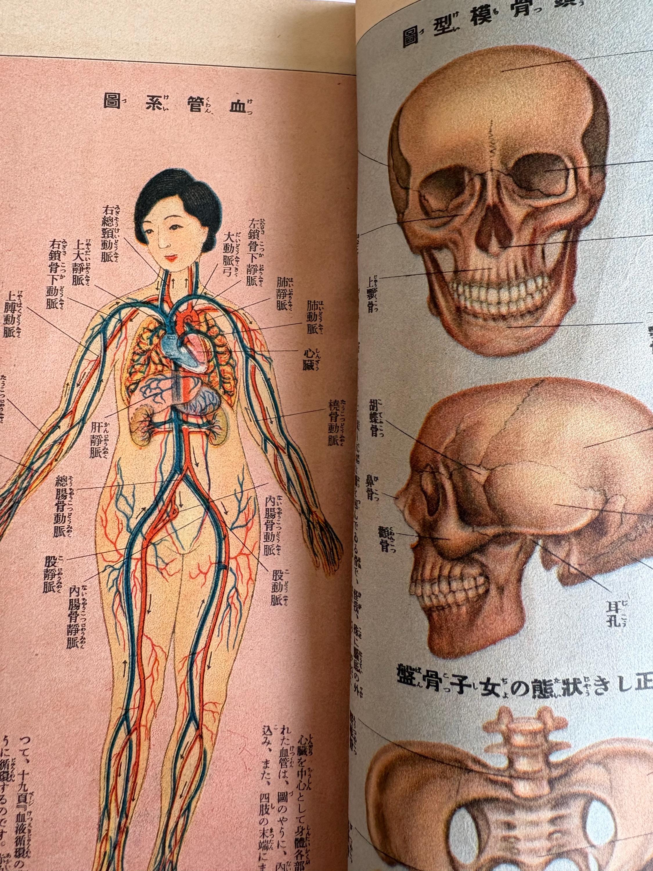 Medical book rare - Etsy 日本