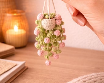 Crochet Hanging Plant Pattern with Roses, Boho Wall Decor DIY, Amigurumi Flower Hanging Basket, Aesthetic Room Decor PDF