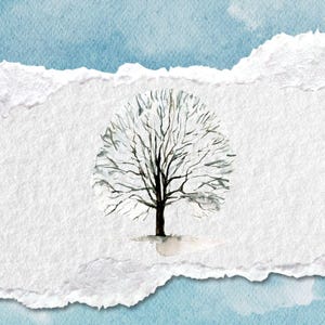 May include: A journal cover with a watercolor illustration of a bare tree against a white, torn paper background, set against a light blue sky. The text at the top reads "BECOMING THE WOMEN ALLAH KNOWS YOU ARE". The bottom text reads "A 30-DAY TAWAKKUL JOURNAL OF HEALING & RETURN".