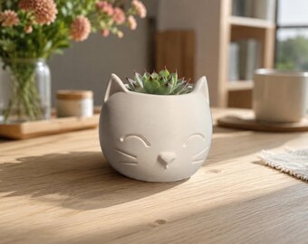 Mini Cat Planter – Kitten Succulent Pot, Mini desk decor