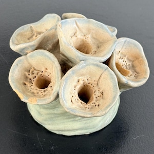 May include: A ceramic flower frog with multiple tubular openings for stems. The object features a light green base with a textured, porous surface and several flared, cup-shaped tops in a pale beige hue with soft blue-tinted edges.