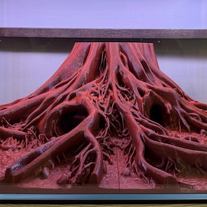 May include: A reddish-brown aquarium ornament, resembling a complex root system. The detailed structure has several openings and is placed within a glass tank. The background shows a wooden frame and a light-coloured wall.