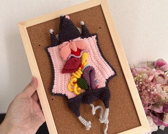 Handgemachte Häkelarbeit Anatomische Ratte Dissection Art - Eingerahmtes Textilbiologie-Exemplar