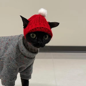 May include: A black cat wearing a red knitted hat with a white bobble and a grey speckled sweater. The cat has large green eyes and is looking to the right. The cat is indoors.