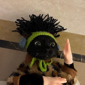 May include: A black cat wearing a green and black crocheted hat with dreadlocks and blue ear muffs. The cat is wearing a brown sweater and a leopard print coat. The cat is raising its right hand.