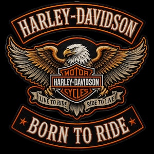 Puede incluir: Parche bordado de Harley-Davidson con un águila de alas extendidas y el texto "Born to Ride". El parche negro tiene detalles en naranja y blanco, con el logotipo de Harley-Davidson. Para chaquetas o chalecos.