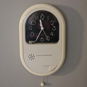 May include: An oval-shaped off-white wall clock with a black face, white numerals, and white hands. The lower section features a speaker, the text "CLOCK & VOICEMESSAGE", and a "recording switch" button. A small white pendulum hangs from the bottom.
