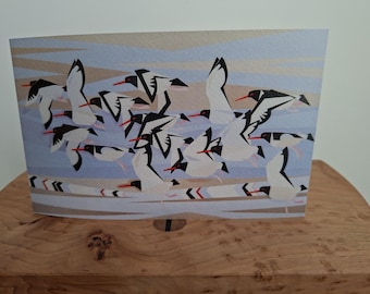 4 Sea-Pie Skedaddle blank cards. Oystercatchers in flight printed on Tinteretto.