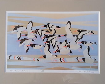 Oystercatchers in flight,  limited edition print from original acrylic painting.Digitally printed on Tintoretto art paper, then mounted.