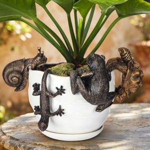 May include: A white ceramic plant pot featuring four bronze-colored animal figurines attached to the rim: a snail, a lizard, a frog, and a turtle. The pot contains a green leafy plant with visible soil and moss at the base of the stems.
