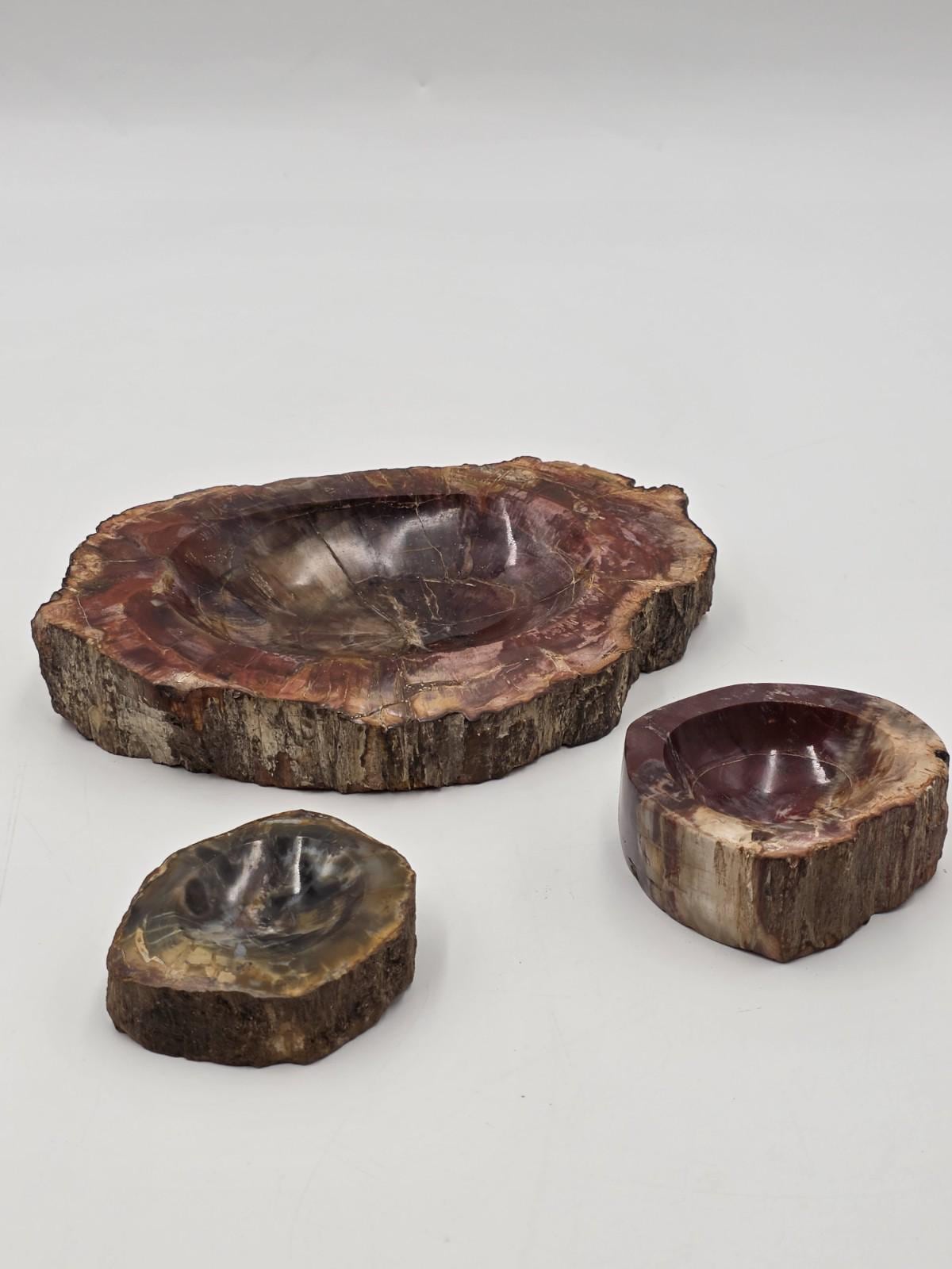 Ashtray Petrified Wood - Etsy