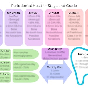 May include: An educational diagram detailing periodontal health stages and grades. The chart includes information on gingivitis, and stages I through IV, with details on CAL, pd, RBL, and furcations. Also includes information on mobility and furcations class.