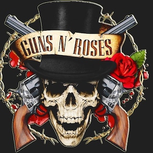 May include: A skull wearing a black top hat, with two revolvers crossed behind it. A banner reading "GUNS N' ROSES" is above the skull. Red roses and barbed wire complete the design, set against a black background.