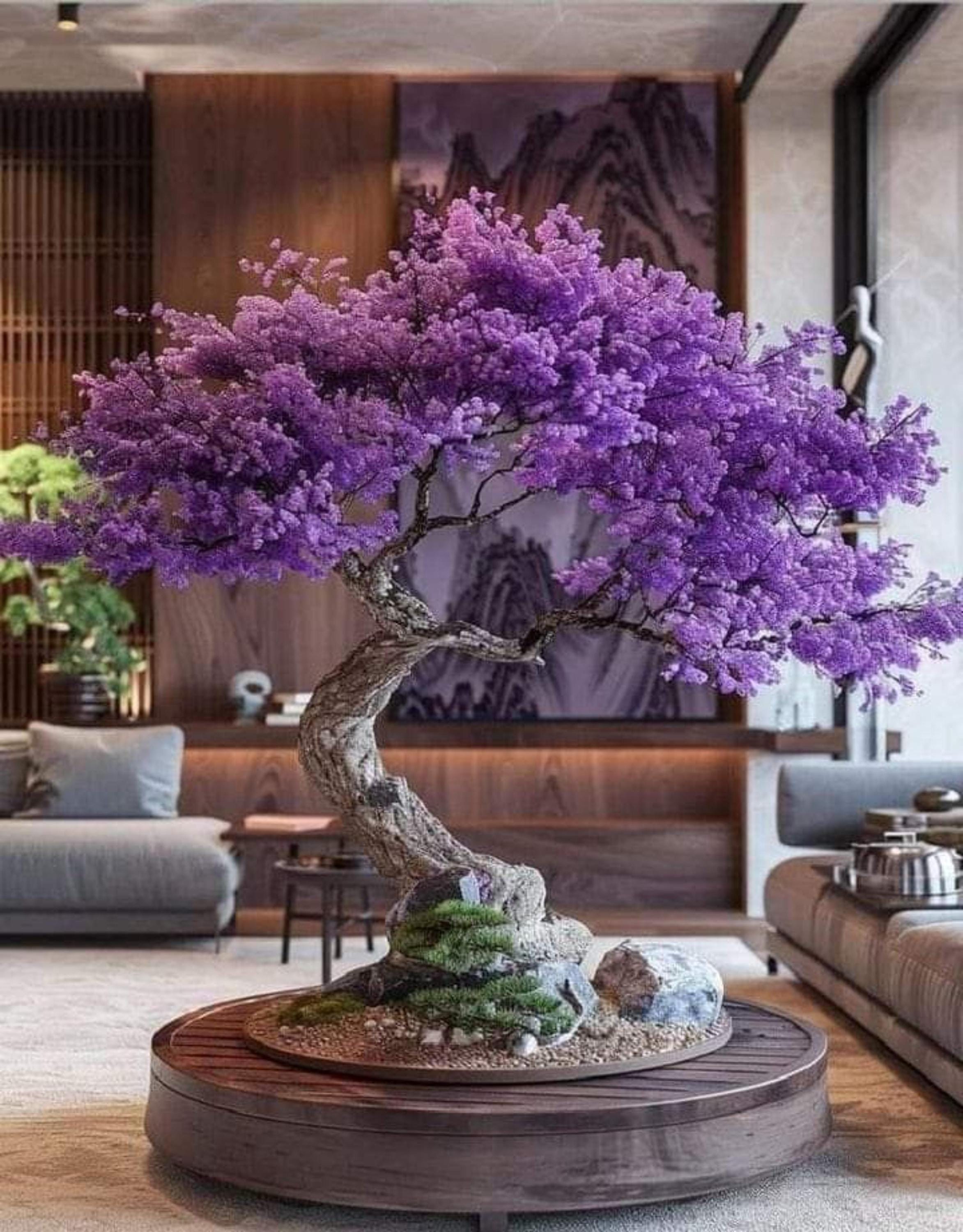 bonsai driftwood Bonsai Tree Aquascaping