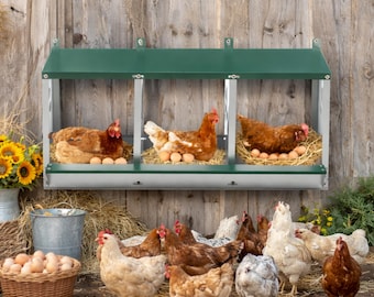 Chicken Nesting Box 3 Compartment – Roll Away Egg Box for Hens, Galvanized Steel Coop Nesting Boxes, Easy Clean Wall Mounted Poultry Box