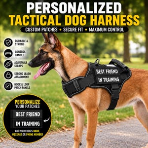 May include: A black tactical dog harness worn by a tan dog, featuring a top control handle, adjustable straps, and hook-and-loop panels. The harness displays a rectangular patch with the white text BEST FRIEND IN TRAINING on the side.