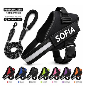 Personalized Dog Harness and Leash Set | Custom Name Patch No Pull Reflective Adjustable Breathable Pet Harness | Dog Gift XS S M L XL XXL