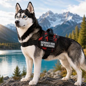 No Pull Dog Harness with Handle, Service Dog Vest Reflective Adjustable, Custom Name Patch Personalized Training Harness for Large Dogs