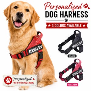 May include: A golden retriever wearing a red service dog harness with black buckles and a reflective strip. The image includes text reading Personalized DOG HARNESS, 3 COLORS AVAILABLE, SERVICE DOG, and Personalized WITH YOUR DOG'S NAME.