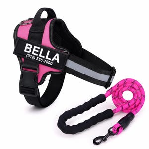 May include: A bright pink dog harness with black trim and a reflective strip, featuring a black patch with the white text BELLA and (312) 555-7890. A matching pink and black rope lead with a black foam handle and a metal clip is included.