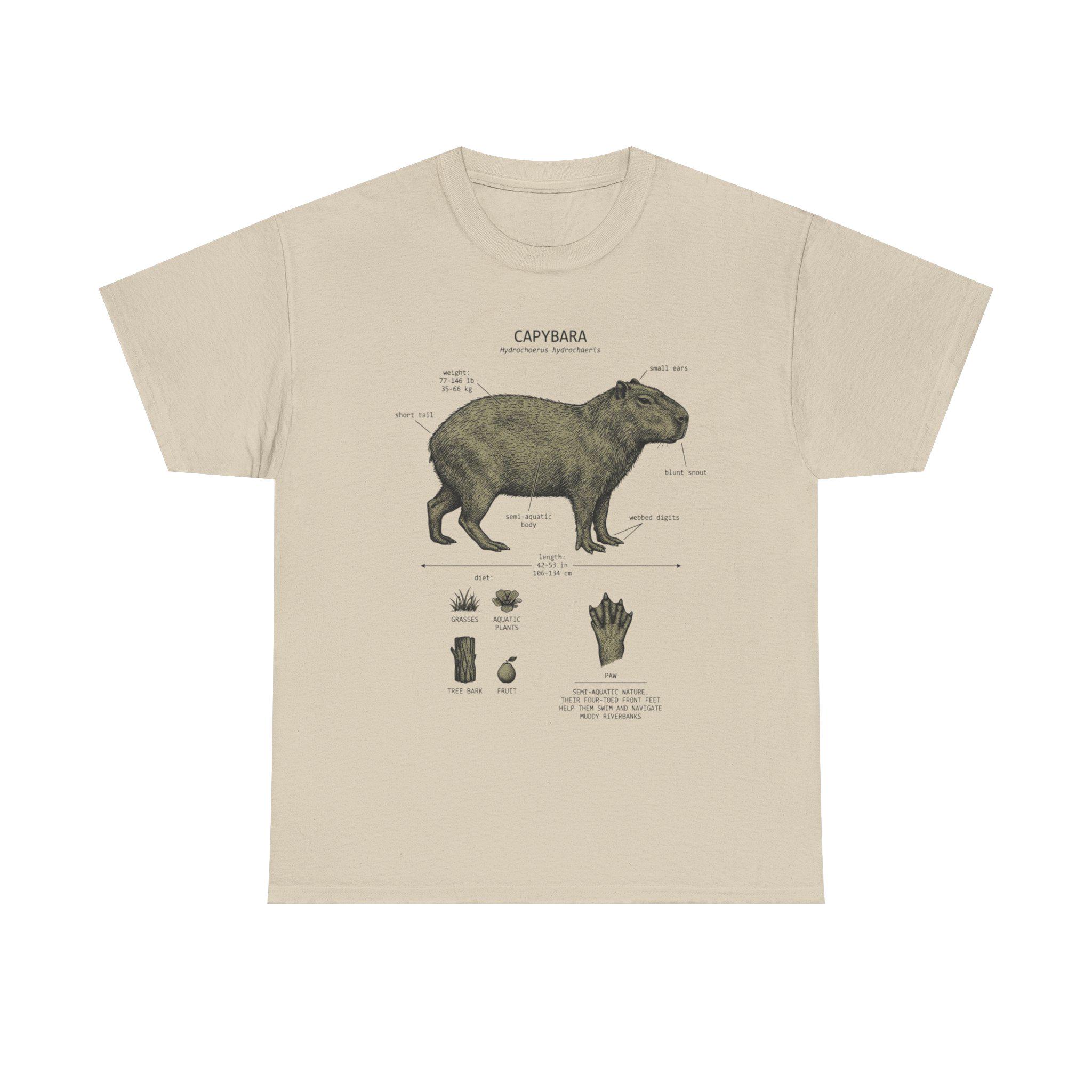 Capybara Anatomy Illustration T-shirt | Animal Diagram Tee, Nature ...