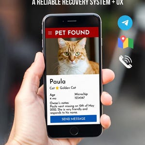 Può includere: Uno smartphone mostra un avviso "Animale domestico trovato" per un Golden Cat di nome Paula. Lo schermo mostra la foto del gatto, la sua età e il numero del microchip, con un messaggio sulla sua scomparsa e un pulsante "Invia messaggio". Il testo in alto recita "Avvisi Telegram istantanei".