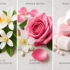 Floral gourmand fragrance notes featuring orange blossom, rose jasmine, and sweet marshmallow accord, luxury body oil scent profile collage for feminine perfume lovers and skincare layering routines.