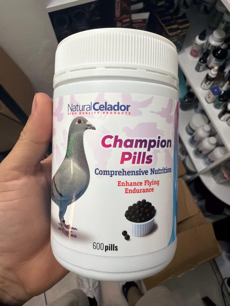 May include: A white plastic bottle of "Champion Pills" for pigeons, with a white lid. The label features a pigeon illustration and text: "Natural Celador, High Quality Products, Comprehensive Nutrition, Enhance Flying Endurance." The bottle contains 600 pills.