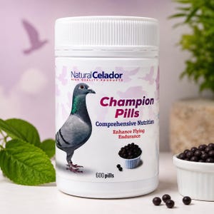 May include: A white supplement bottle with a screw-on lid, featuring a pigeon illustration and the text "Champion Pills." The label also includes "Comprehensive Nutrition" and "Enhance Flying Endurance." The bottle contains 600 pills.