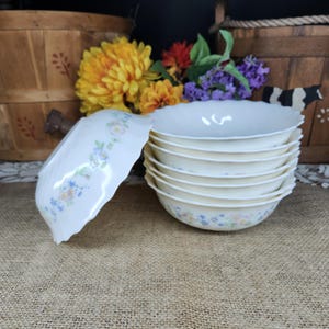 May include: A stack of six off-white ceramic bowls with a scalloped edge and a delicate floral pattern in blue, yellow, and pink. One bowl is tilted, revealing the pattern. The bowls are on a burlap surface.