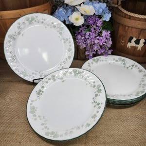 May include: A set of white ceramic plates featuring a delicate green ivy leaf pattern along the scalloped rims. The plates have a smooth, glossy finish and a thin dark green border. The design is consistent across all pieces in the collection.