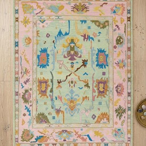 May include: A rectangular area rug featuring a light green central field with multicoloured abstract floral and geometric motifs in shades of pink, blue, yellow, and brown, surrounded by a wide pink border with a repeating patterned edge.