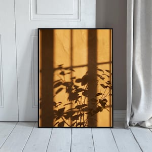 Puede incluir: Impresión artística enmarcada que muestra la silueta de una planta contra una pared texturizada de color amarillo dorado. La sombra de una ventana crea líneas verticales. La impresión está en un marco negro, sobre una puerta y suelo blancos.