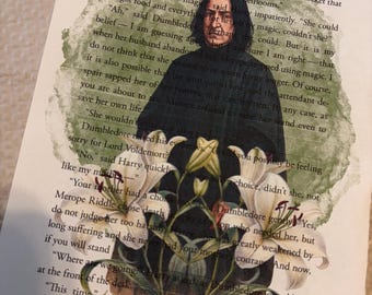 Libro impreso de Snape y Lillies de la Escuela de Magia