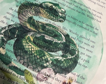 Libro impreso de la Serpiente de la Casa Verde de la Escuela de Magia