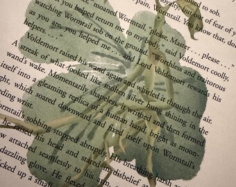 Libro impreso de Bowtruckle verde de la Escuela de Magia