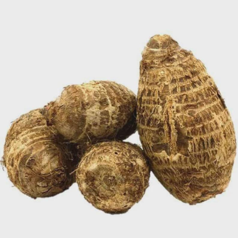 Puede incluir: Un conjunto de ra&iacute;ces de taro, con un exterior marr&oacute;n rugoso y texturizado. Los tub&eacute;rculos var&iacute;an en tama&ntilde;o y forma, sobre un fondo claro. La imagen destaca los tonos naturales y terrosos y las formas org&aacute;nicas de las hortalizas de ra&iacute;z.