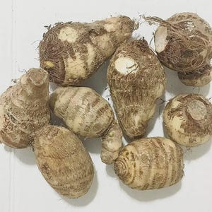 Puede incluir: Un conjunto de ra&iacute;ces de taro, con diversas formas y tama&ntilde;os. Las ra&iacute;ces tienen un exterior marr&oacute;n claro y texturizado con marcas visibles y algunas ra&iacute;ces fibrosas. El fondo es una superficie blanca lisa.