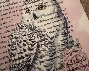 Libro con estampado de búho floral rosa de la Escuela de Magia