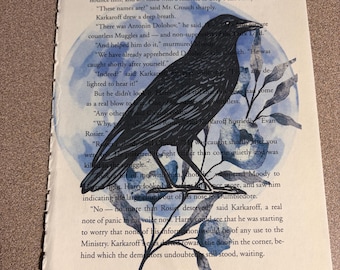 Libro impreso de la Casa Azul de la Escuela de Magia con el Cuervo