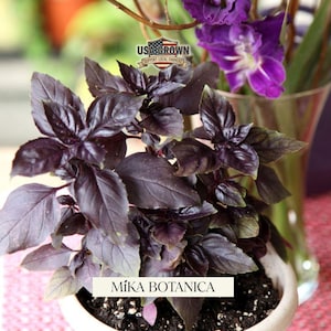 May include: A set of three ceramic mugs with a speckled, cream-colored glaze. Each mug features a different hand-painted design: a blue and green leaf, a yellow flower, and a red berry. The mugs have a simple, rounded shape.