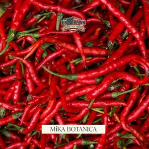 May include: A close-up shot of a pile of vibrant red chili peppers with green stems. The image includes the text "USA GROWN SUPPORT LOCAL FARMERS" and "MÍKA BOTANICA".