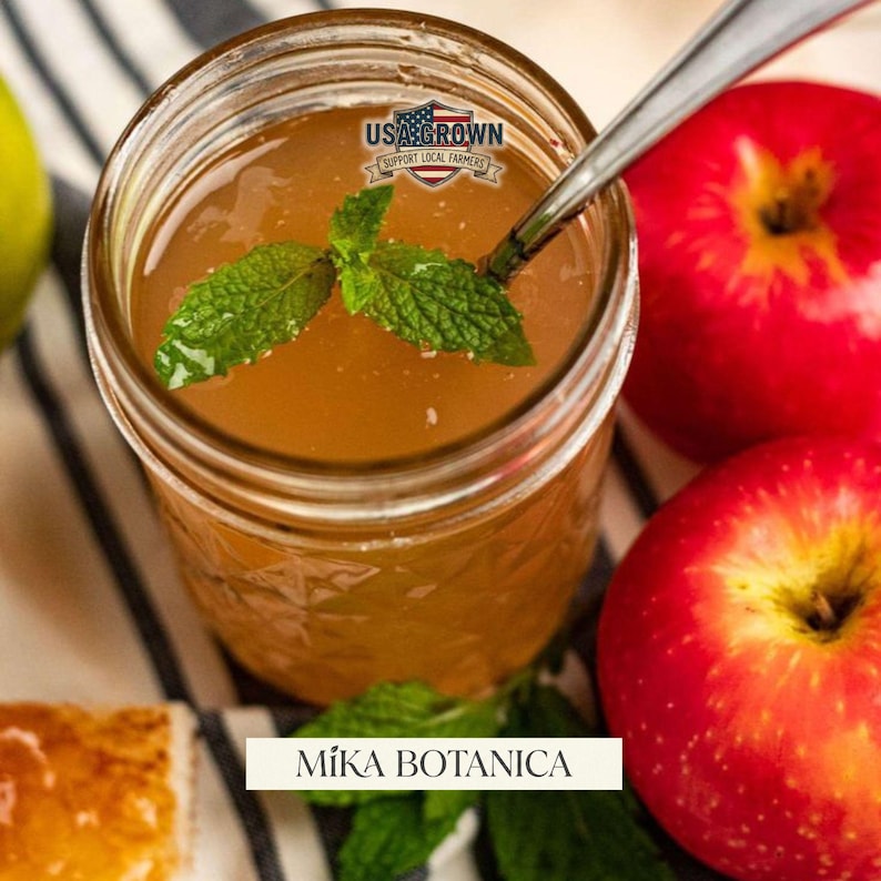 Puede incluir: Un tarro de cristal lleno de l&iacute;quido color &aacute;mbar, con una ramita de menta y una cuchara, junto a dos manzanas rojas. El tarro tiene un logo "USA Grown". El texto "Mika Botanica" est&aacute; en la parte inferior. La imagen est&aacute; sobre tela a rayas.