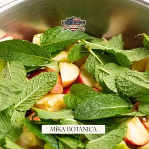 Puede incluir: Primer plano de un cuenco lleno de rodajas de manzana y hojas de menta verde. La imagen presenta el texto "USA Grown Support Local Farmers" y "M&iacute;ka Botanica".
