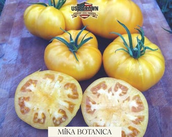 Semillas de Brandywine amarillo: Tomillo dulce dorado (15 semillas)