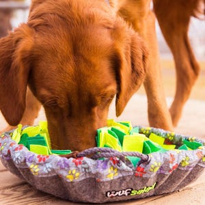 Può includere: Un cane marrone che mangia da una ciotola di feltro grigio piena di pezzi di stoffa verdi e gialli. La ciotola ha un motivo floreale e di impronte di zampe sul bordo e le parole "Woof Salad" sul lato.
