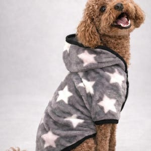 May include: A brown dog wearing a gray hooded jacket with white star patterns. The jacket has a black trim and a button closure. The dog is sitting and looking up with its mouth open.