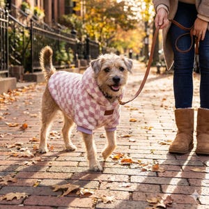 May include: A dog wearing a pink and white checkered hoodie, walking on a brick path. The dog is on a brown leather leash. The dog's hoodie has a purple trim. The background includes fall foliage and a person wearing blue jeans and brown boots.