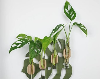 Monstera Wall Plant Propagation Station | Magnetic Test Tube Holder | 3D Printed Wall Planter | Boho Plant Decor | Plant Lover Gift